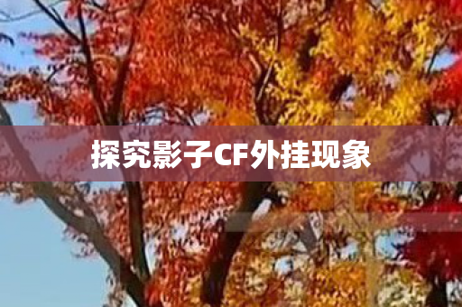探究影子CF外挂现象 探究影子CF外挂现象