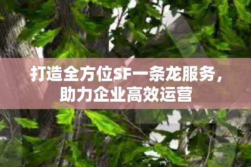 打造全方位SF一条龙服务，助力企业高效运营