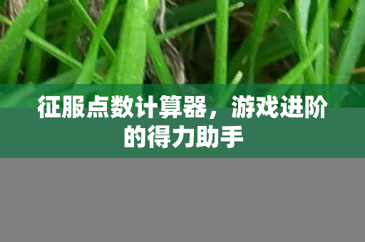 征服点数计算器,游戏进阶的得力助手 征服点数计算器,游戏进阶的得力助手
