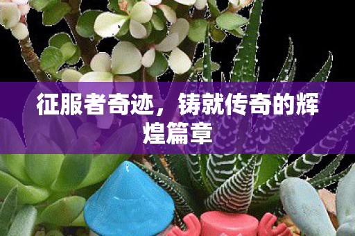 征服者奇迹，铸就传奇的辉煌篇章