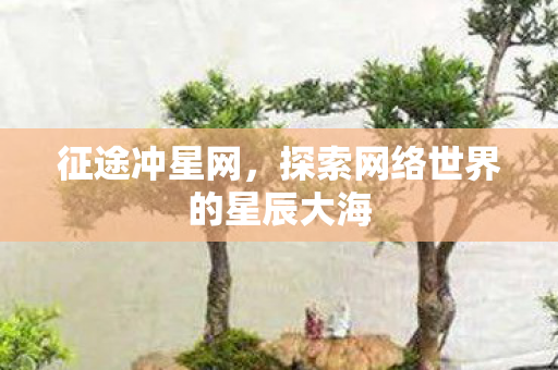 征途冲星网,探索网络世界的星辰大海 征途冲星网,探索网络世界的星辰大海