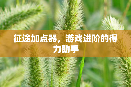 征途加点器，游戏进阶的得力助手