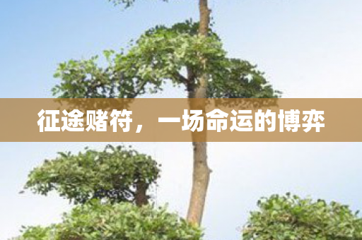 征途赌符，一场命运的博弈