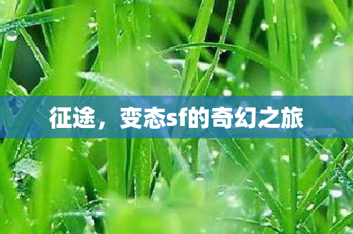 征途，变态sf的奇幻之旅