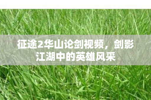 征途2华山论剑视频，剑影江湖中的英雄风采