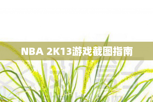 NBA 2K13游戏截图指南