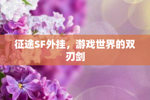 征途SF外挂,游戏世界的双刃剑 征途SF外挂,游戏世界的双刃剑