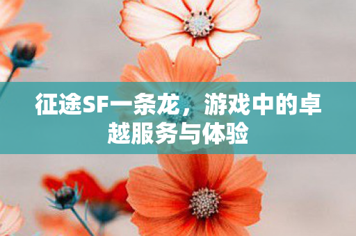 征途SF一条龙，游戏中的卓越服务与体验