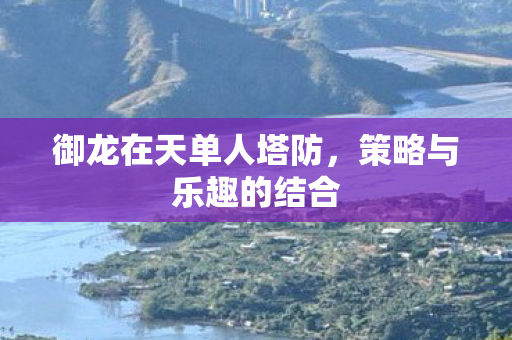 御龙在天单人塔防,策略与乐趣的结合 御龙在天单人塔防,策略与乐趣的结合