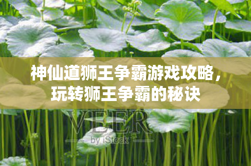 神仙道狮王争霸游戏攻略，玩转狮王争霸的秘诀