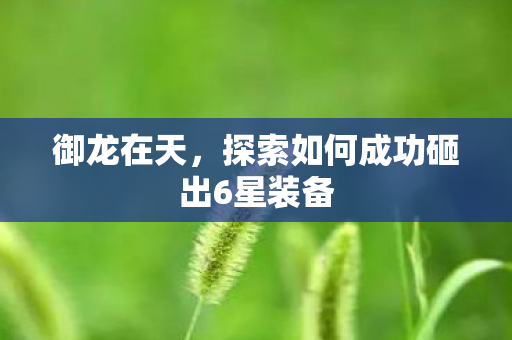 御龙在天，探索如何成功砸出6星装备