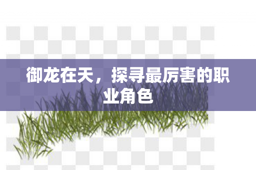 御龙在天，探寻最厉害的职业角色