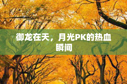 御龙在天，月光PK的热血瞬间