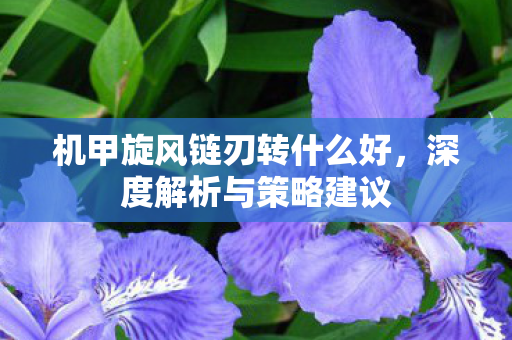 机甲旋风链刃转什么好，深度解析与策略建议