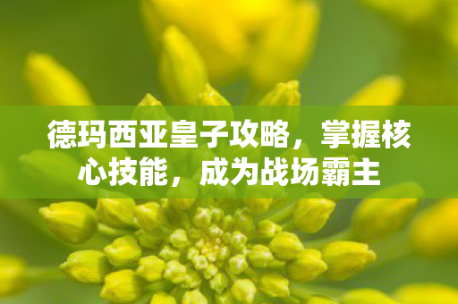 德玛西亚皇子攻略,掌握核心技能,成为战场霸主 德玛西亚皇子攻略,掌握核心技能,成为战场霸主
