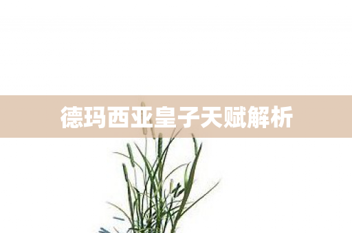 德玛西亚皇子天赋解析