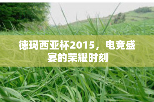 德玛西亚杯2015，电竞盛宴的荣耀时刻