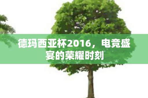 德玛西亚杯2016,电竞盛宴的荣耀时刻 德玛西亚杯2016,电竞盛宴的荣耀时刻