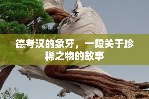 德考汉的象牙,一段关于珍稀之物的故事 德考汉的象牙,一段关于珍稀之物的故事