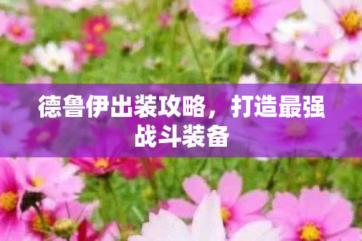 德鲁伊出装攻略，打造最强战斗装备