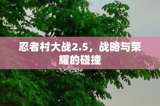 忍者村大战2.5，战略与荣耀的碰撞