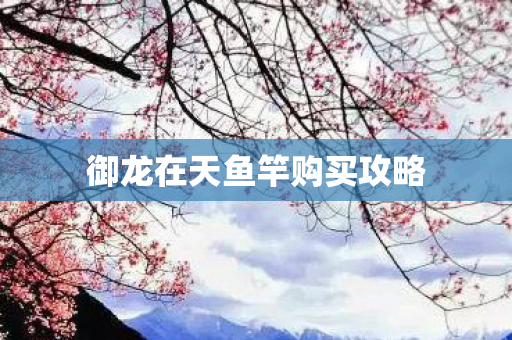 御龙在天鱼竿购买攻略