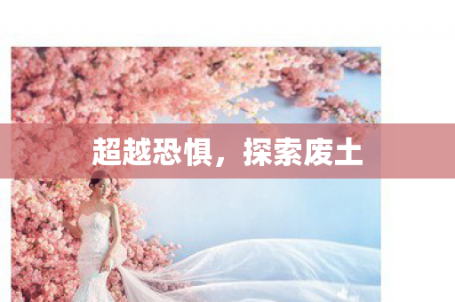 超越恐惧，探索废土