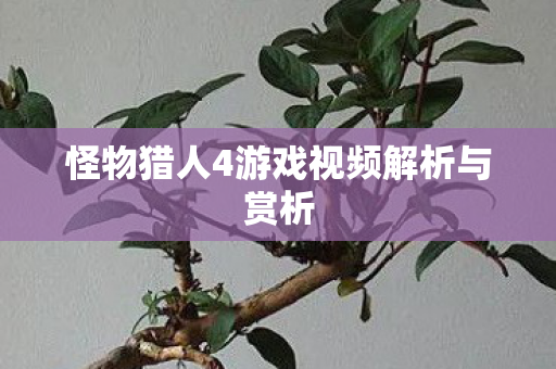 怪物猎人4游戏视频解析与赏析 怪物猎人4游戏视频解析与赏析
