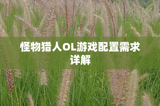 怪物猎人OL游戏配置需求详解