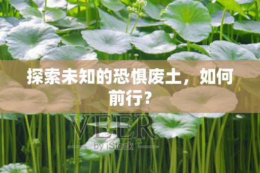 探索未知的恐惧废土，如何前行？