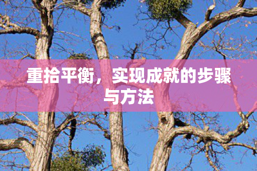 重拾平衡,实现成就的步骤与方法 重拾平衡,实现成就的步骤与方法