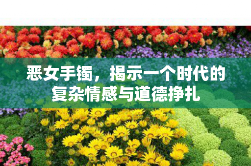 恶女手镯,揭示一个时代的复杂情感与道德挣扎 恶女手镯,揭示一个时代的复杂情感与道德挣扎