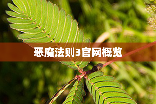 恶魔法则3官网概览