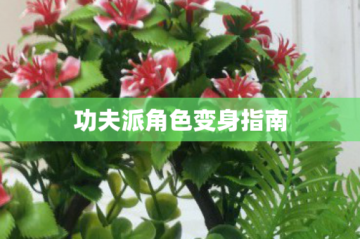 功夫派角色变身指南