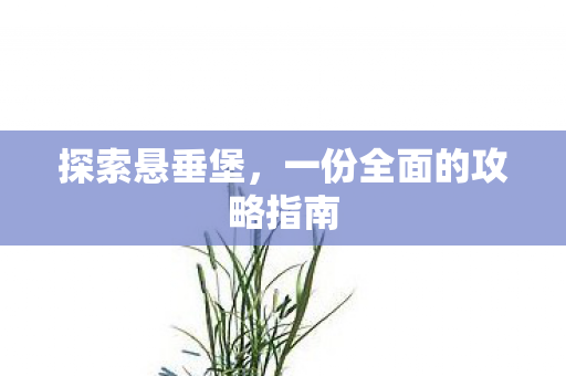 探索悬垂堡,一份全面的攻略指南 探索悬垂堡,一份全面的攻略指南