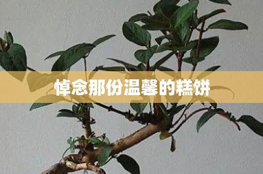 悼念那份温馨的糕饼
