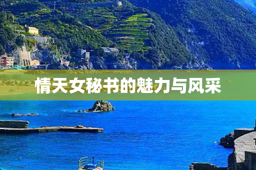 情天女秘书的魅力与风采
