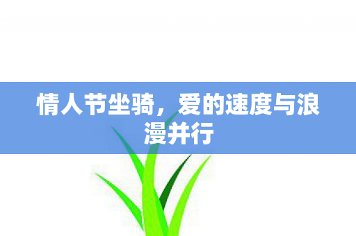 情人节坐骑,爱的速度与浪漫并行 情人节坐骑,爱的速度与浪漫并行