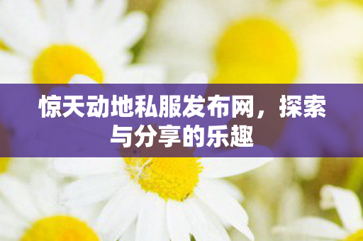 惊天动地私服发布网，探索与分享的乐趣