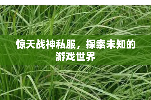 惊天战神私服,探索未知的游戏世界 惊天战神私服,探索未知的游戏世界