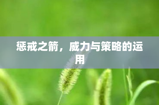 惩戒之箭,威力与策略的运用 惩戒之箭,威力与策略的运用