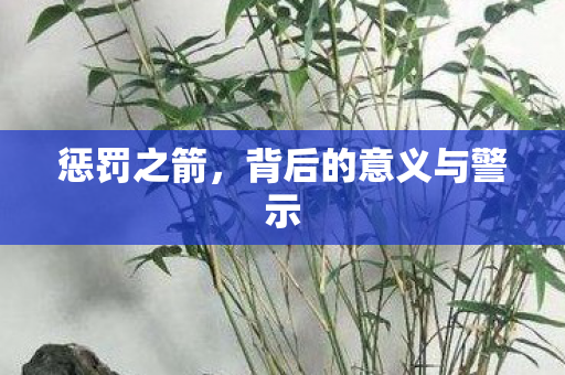 惩罚之箭，背后的意义与警示