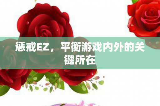 惩戒EZ,平衡游戏内外的关键所在 惩戒EZ,平衡游戏内外的关键所在