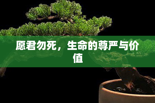 愿君勿死，生命的尊严与价值