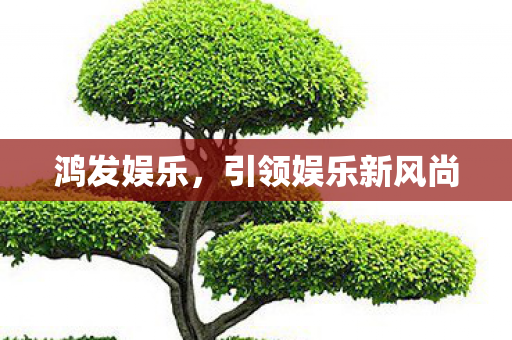 鸿发娱乐，引领娱乐新风尚