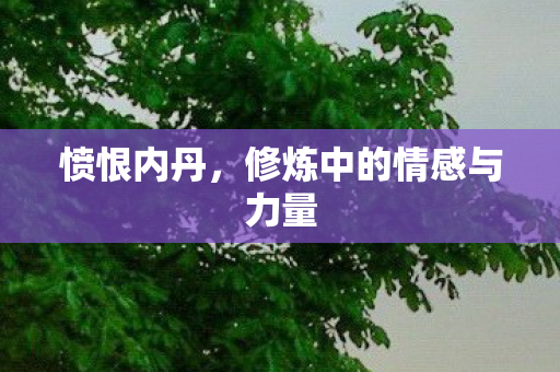 愤恨内丹,修炼中的情感与力量 愤恨内丹,修炼中的情感与力量