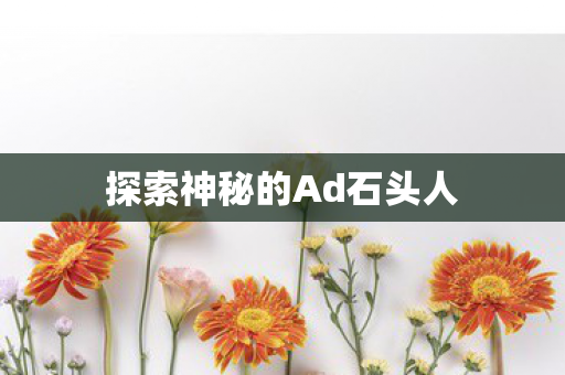 探索神秘的Ad石头人 探索神秘的Ad石头人