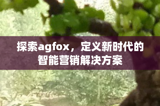 探索agfox,定义新时代的智能营销解决方案 探索agfox,定义新时代的智能营销解决方案