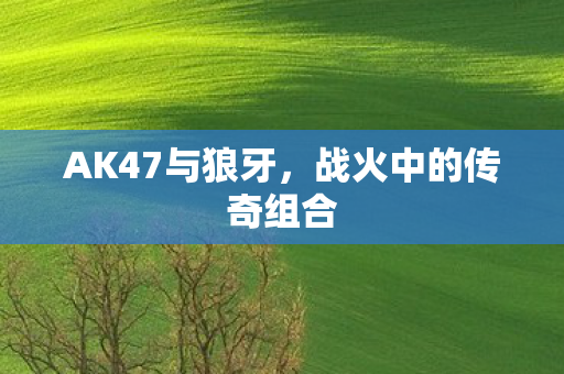 AK47与狼牙,战火中的传奇组合 AK47与狼牙,战火中的传奇组合