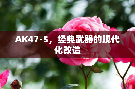 AK47-S，经典武器的现代化改造